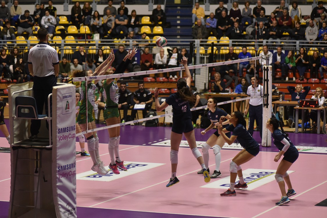 MAS_0900.jpg