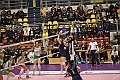 MAS_0208