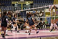 MAS_0535