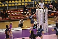 MAS_0695