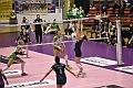 MAS_0735