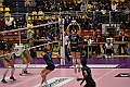 MAS_0794