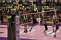 MAS_0801