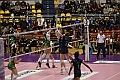 MAS_0805