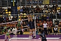 MAS_0811