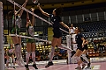 MAS_0950