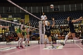 MAS_0967