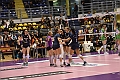 MAS_1089
