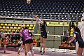 MAS_1161