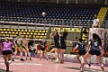 MAS_1175