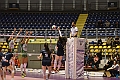MAS_1177