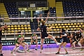 MAS_1184