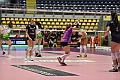 MAS_1186