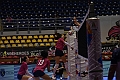 MAS_0377