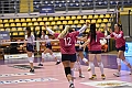 MAS_0433