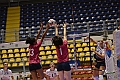 MAS_0682