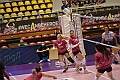 MAS_0784