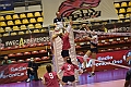 MAS_0805