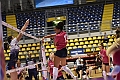 MAS_0877