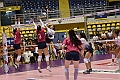 MAS_0955