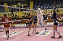 MAS_1466