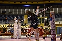 MAS_1715