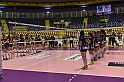 MAS_8569