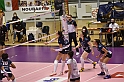 MAS_8684