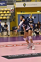 MAS_8749