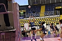 MAS_8817