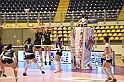 MAS_8873