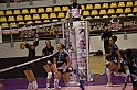 MAS_8908
