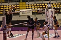 MAS_8914