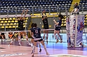 MAS_8961