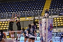 MAS_8968