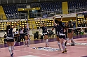 MAS_9295