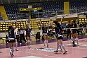 MAS_9296