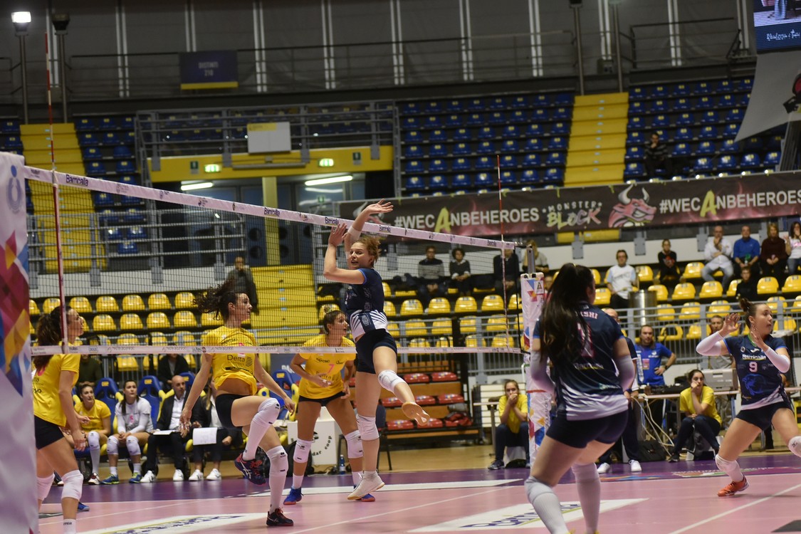 MAS_5813.jpg