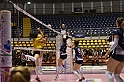 MAS_6013