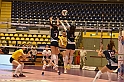 MAS_6131