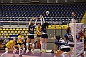 MAS_6185
