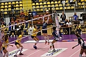 MAS_6231