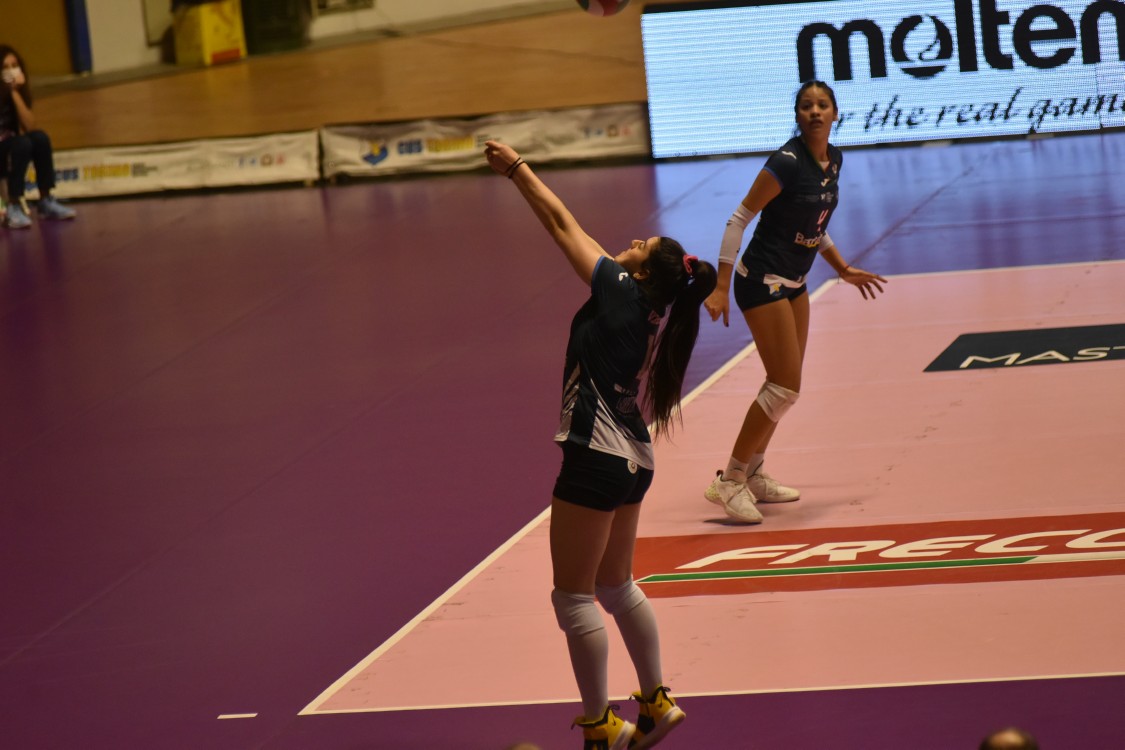 MAS_2775.jpg