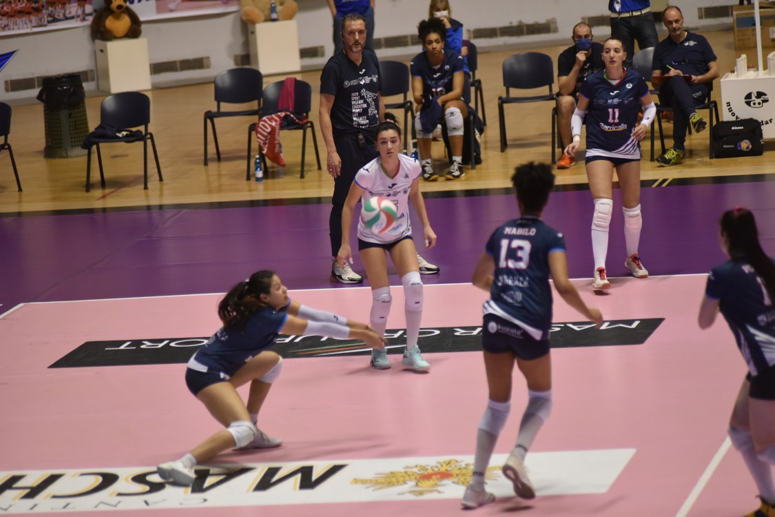MAS_2912.jpg