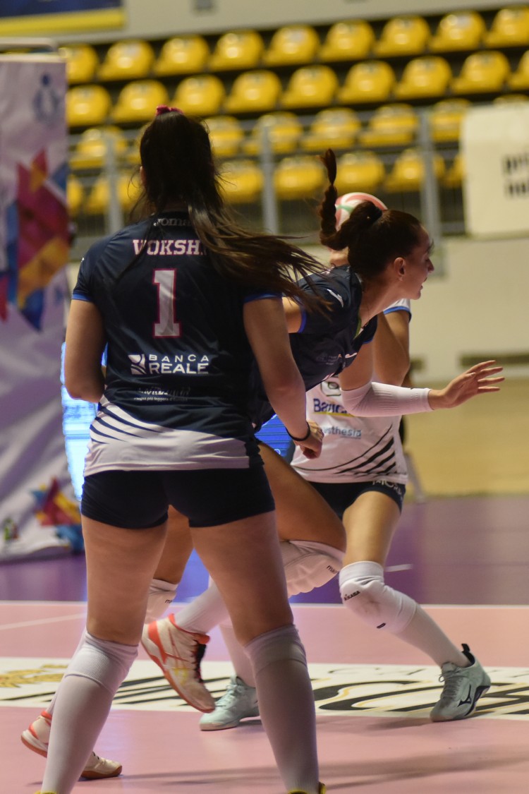 MAS_3090.jpg