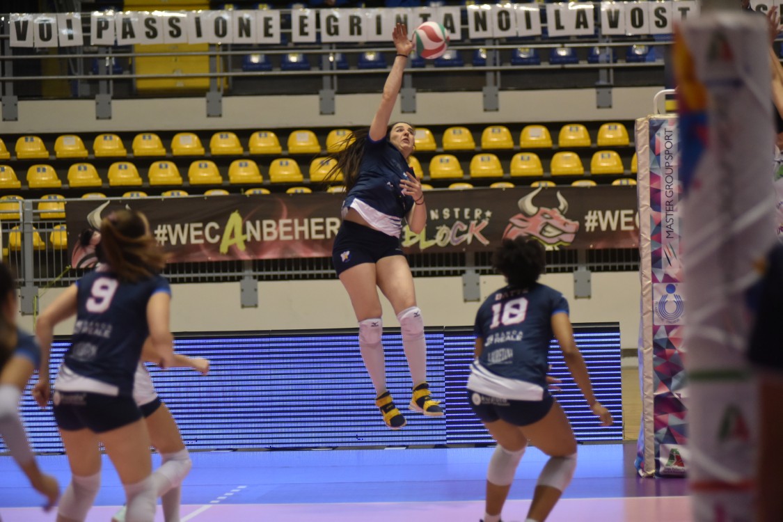 MAS_3176.jpg