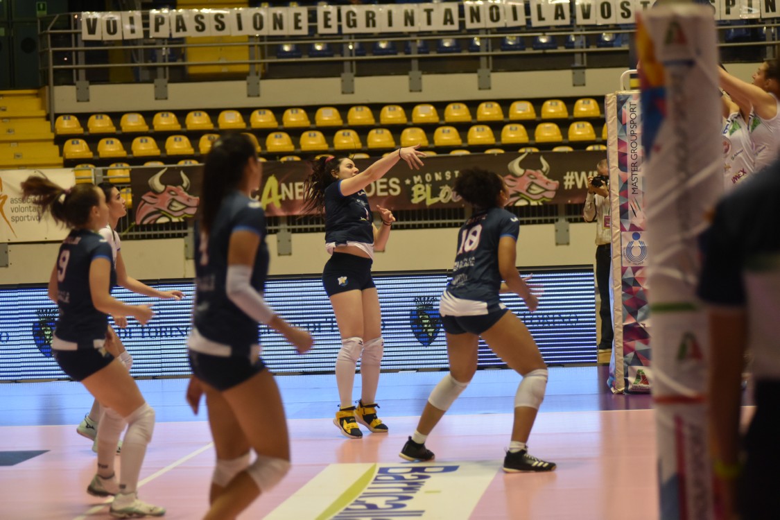 MAS_3183.jpg