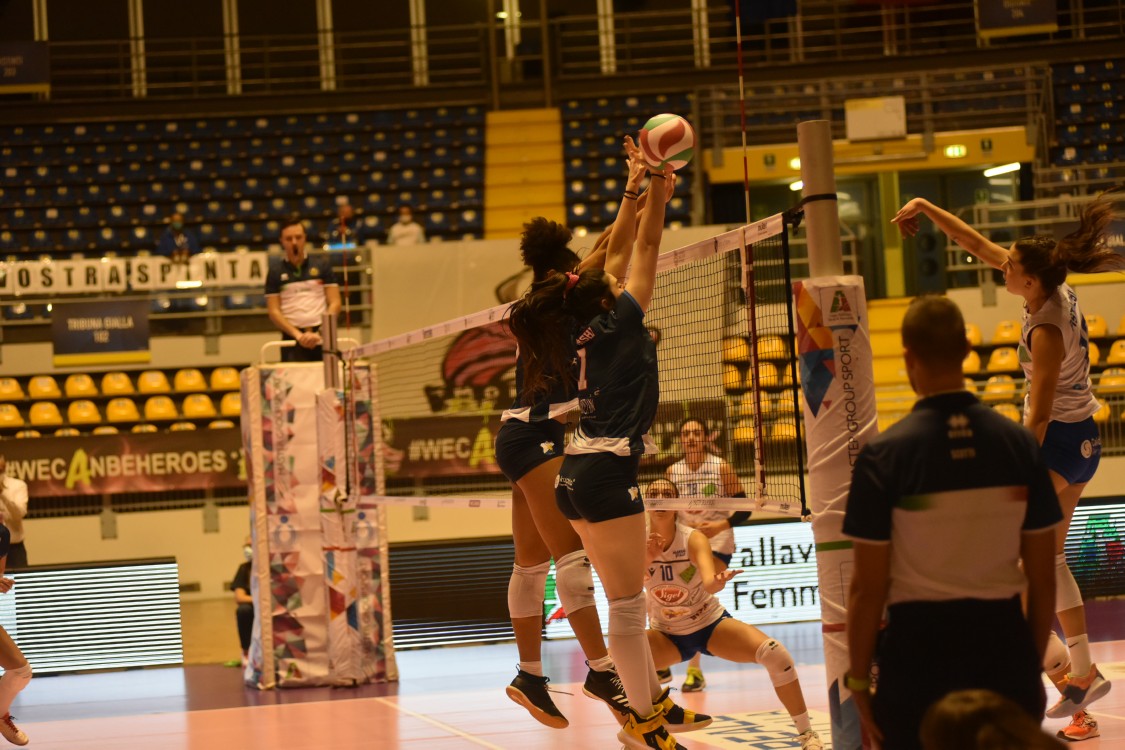 MAS_3193.jpg
