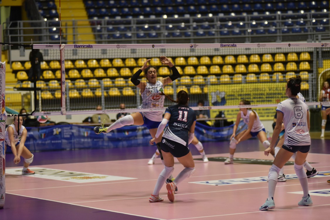 MAS_3204.jpg