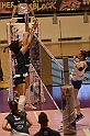 MAS_2779